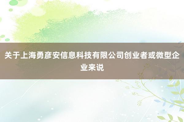 关于上海勇彦安信息科技有限公司创业者或微型企业来说