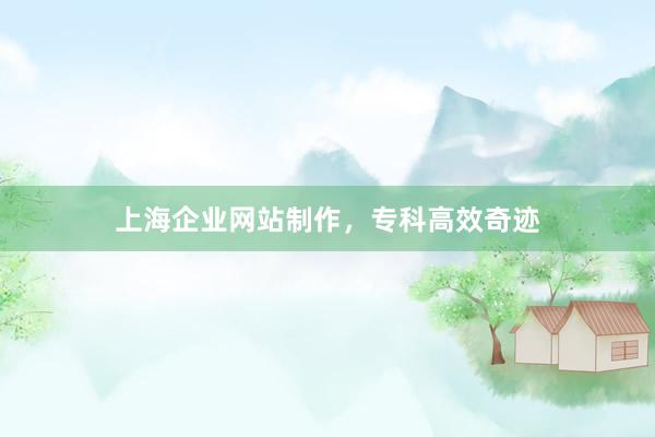 上海企业网站制作，专科高效奇迹