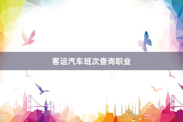 客运汽车班次查询职业