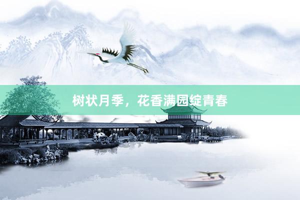 树状月季，花香满园绽青春