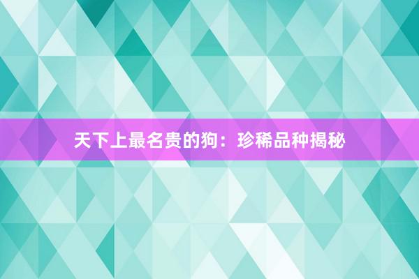 天下上最名贵的狗：珍稀品种揭秘