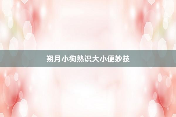 朔月小狗熟识大小便妙技